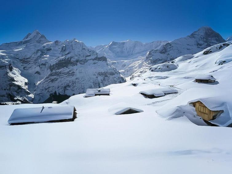 Chalet Aphrodite West Apartamento Grindelwald Exterior foto